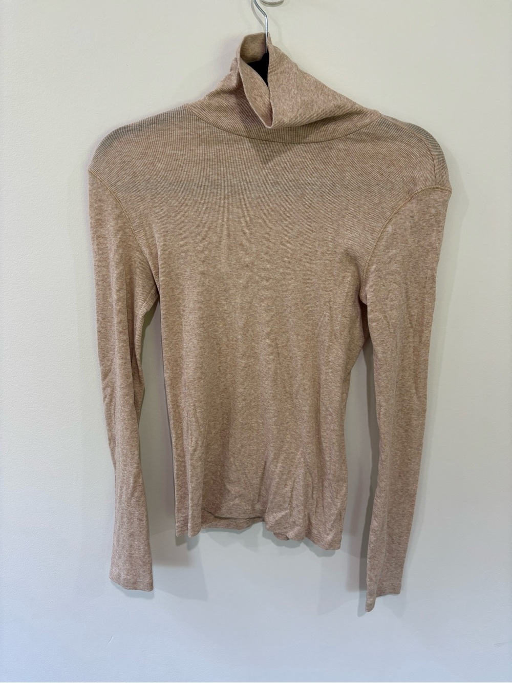 Everlane Pima Cotton Ribbed Lightweight Turtleneck T-shirt
